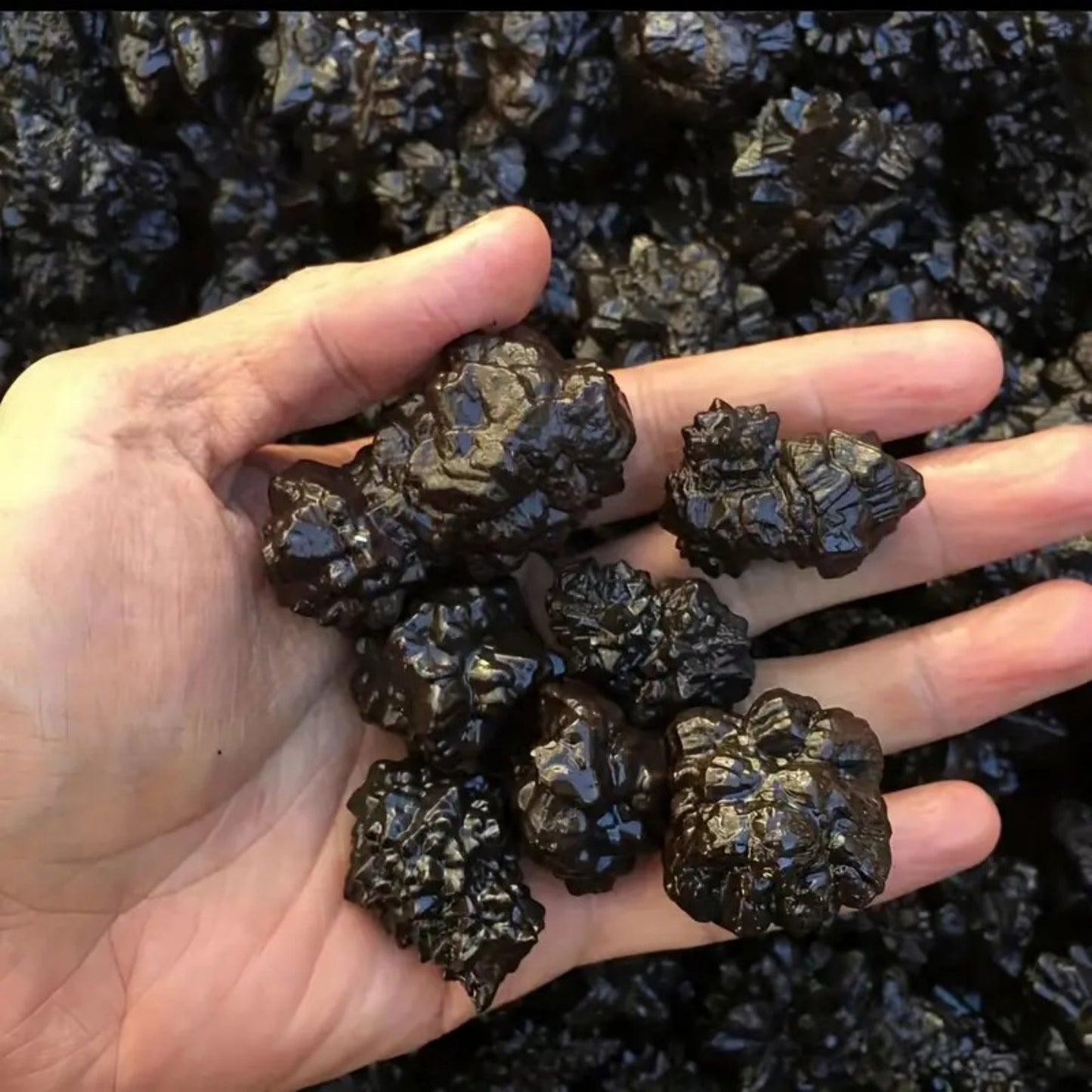 Natural Raw Black Tourmaline Crystal – Egyptian Prophecy Stone & Mineral Specimen