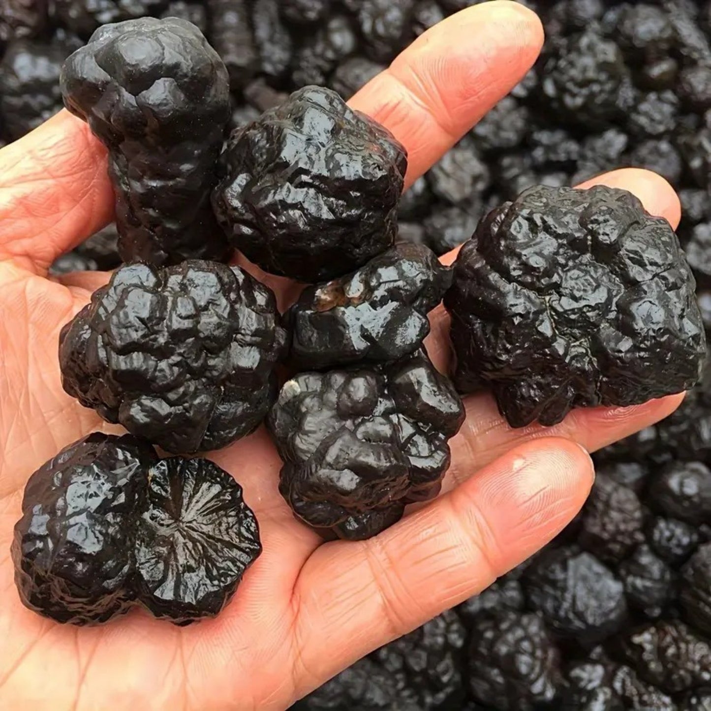 Natural Raw Black Tourmaline Crystal – Egyptian Prophecy Stone & Mineral Specimen